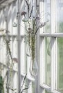 Hengende smal glassvase thumbnail