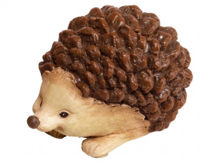 Pinnsvin