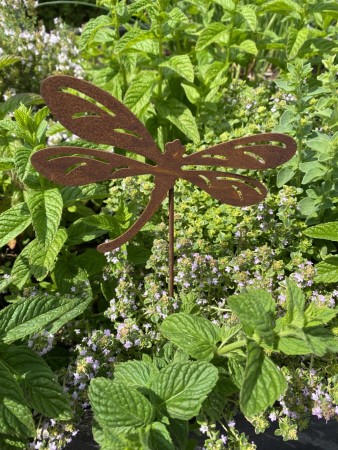 RUST Dragonfly på pinne