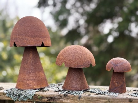 RUST sopp, medium