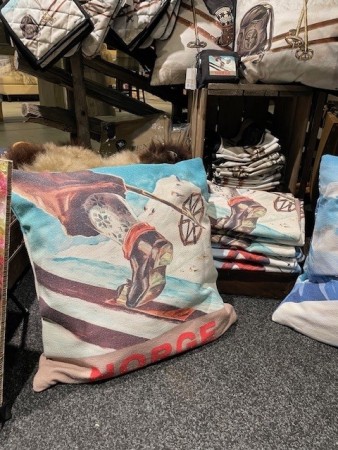 Ski Norway putetrekk, 50x50 cm